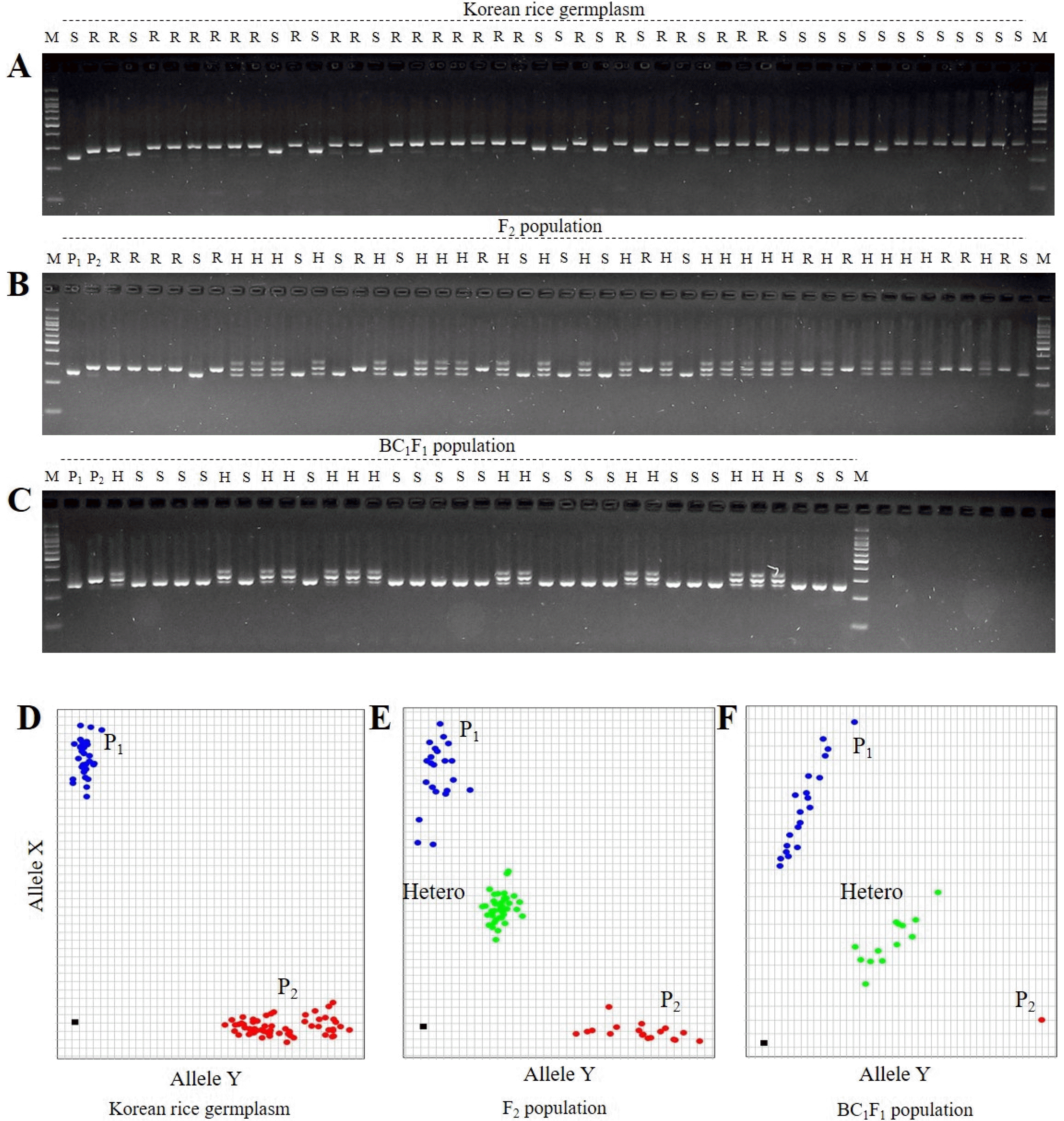 PBB-8-196-f2.gif