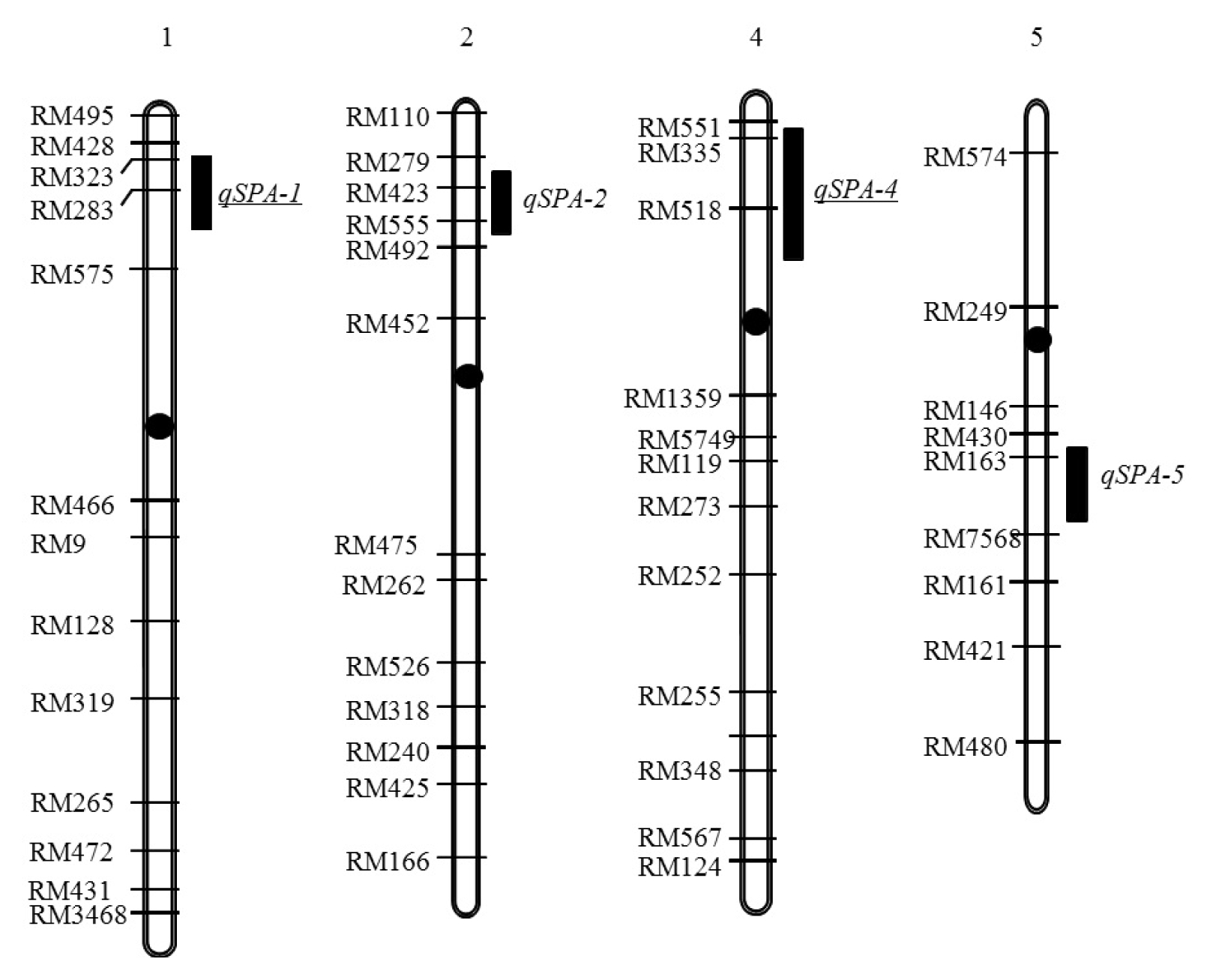 pbb-01-01f4.jpg
