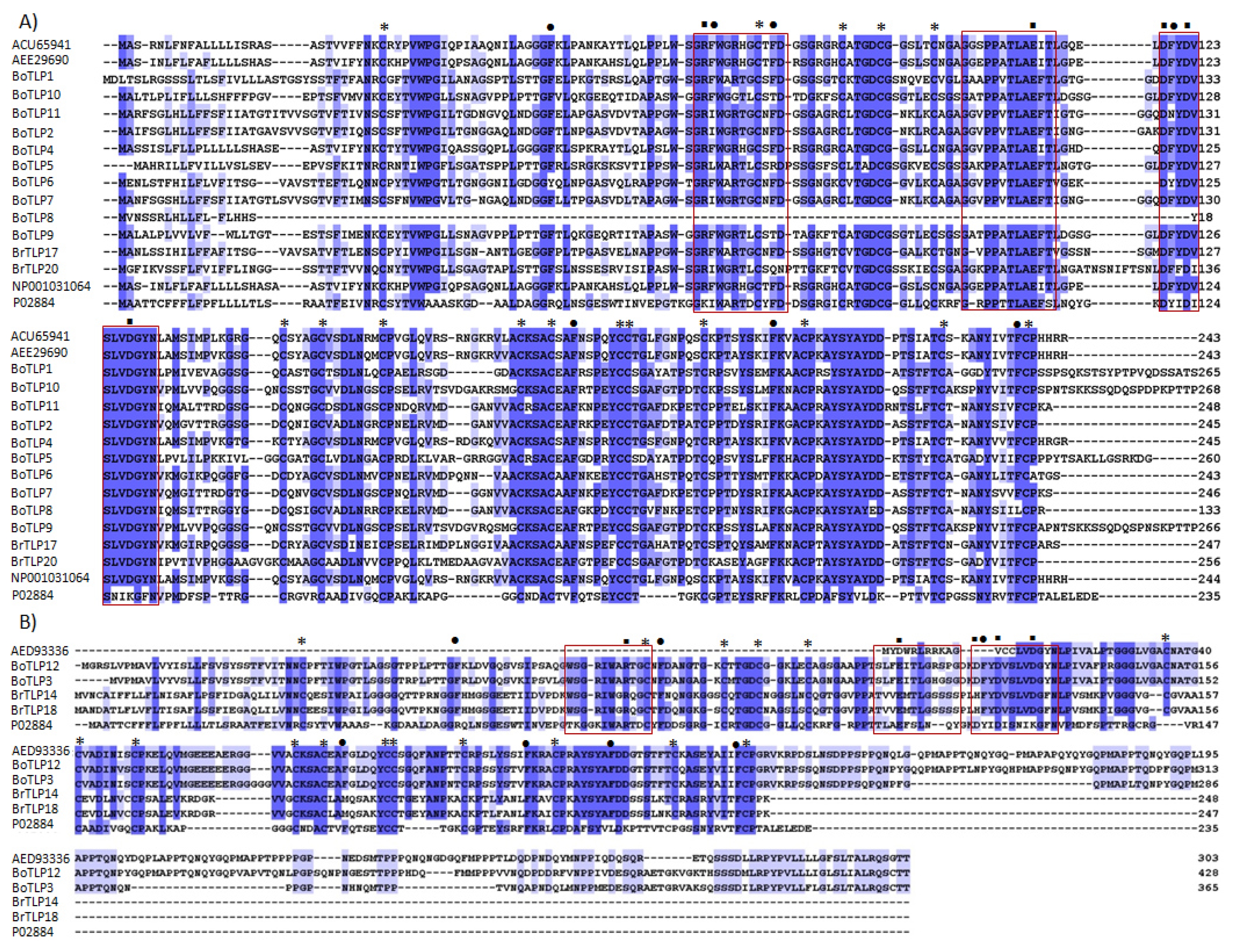 pbb-01-111f2.jpg