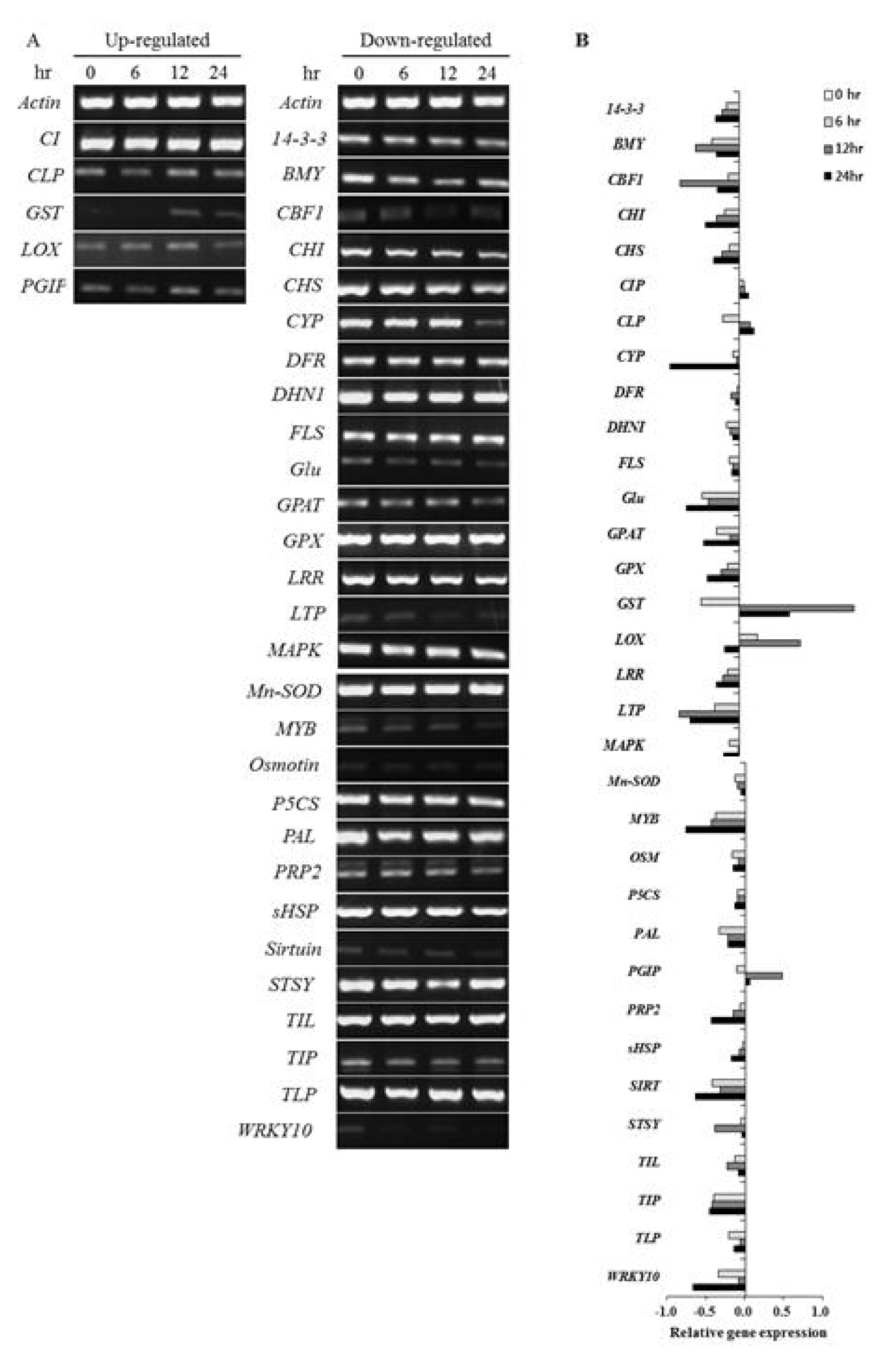 pbb-01-14f6.jpg