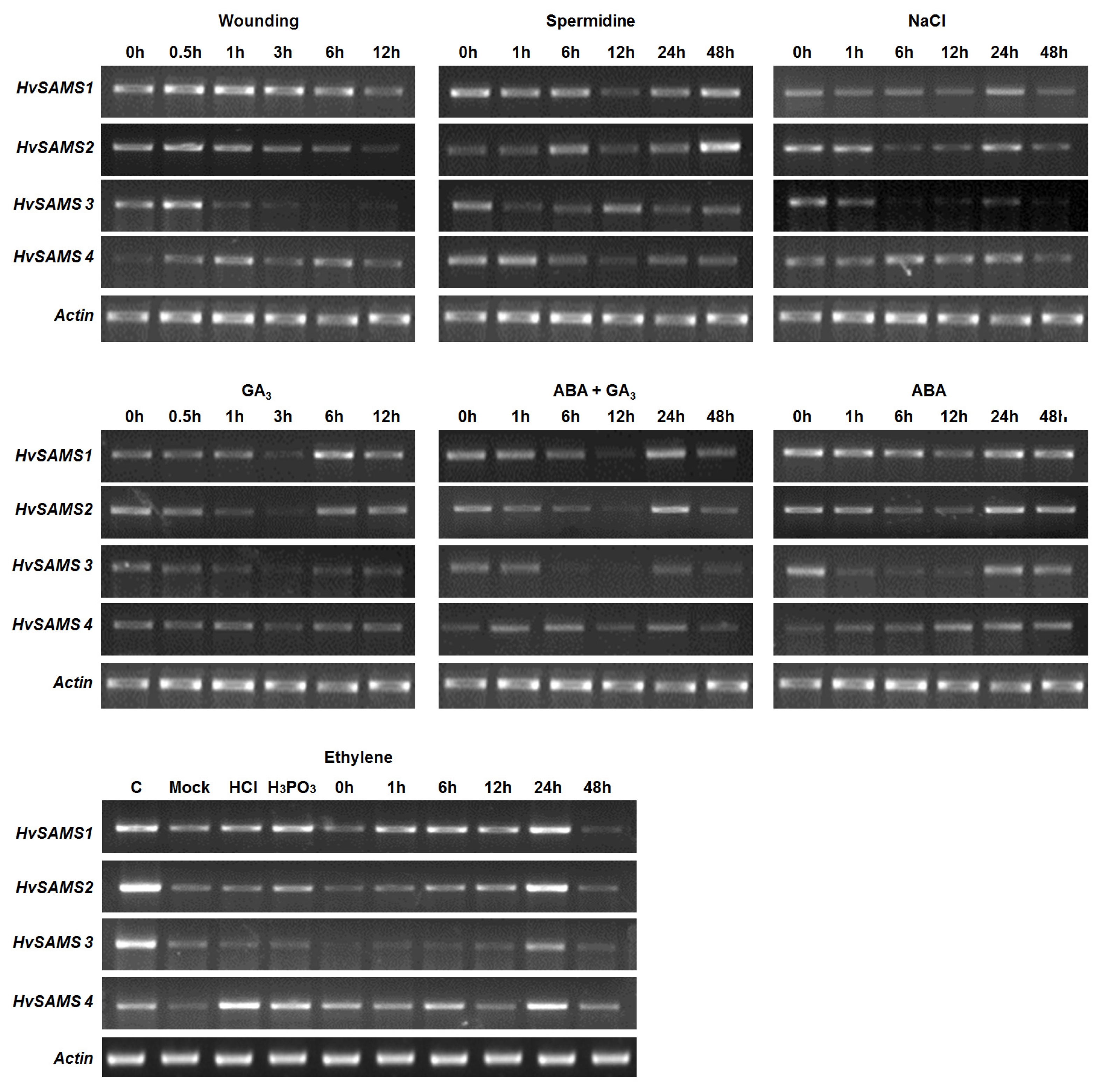 pbb-01-178f3.jpg
