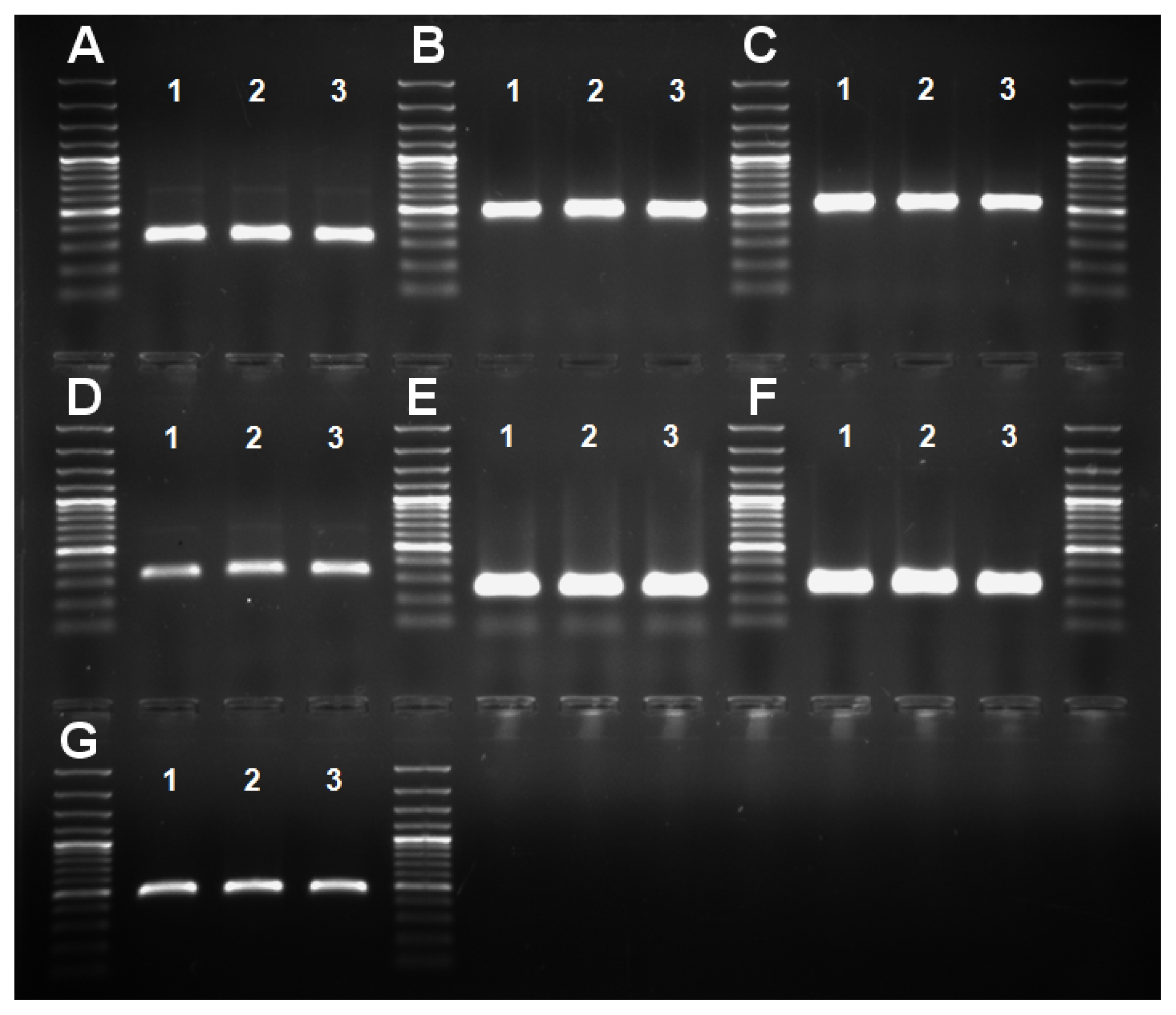 pbb-01-290f3.jpg