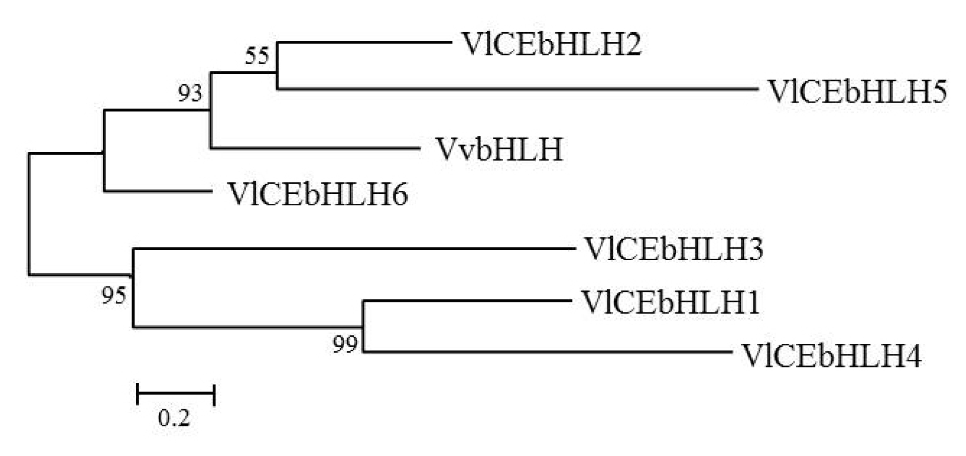 pbb-02-110f3.jpg