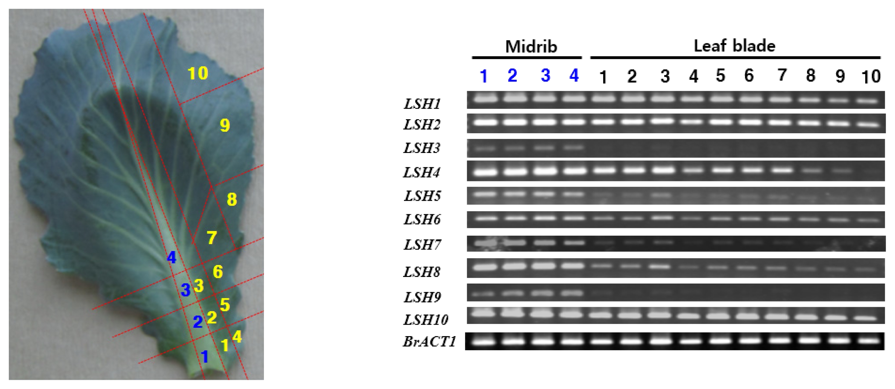 pbb-02-126f7.jpg