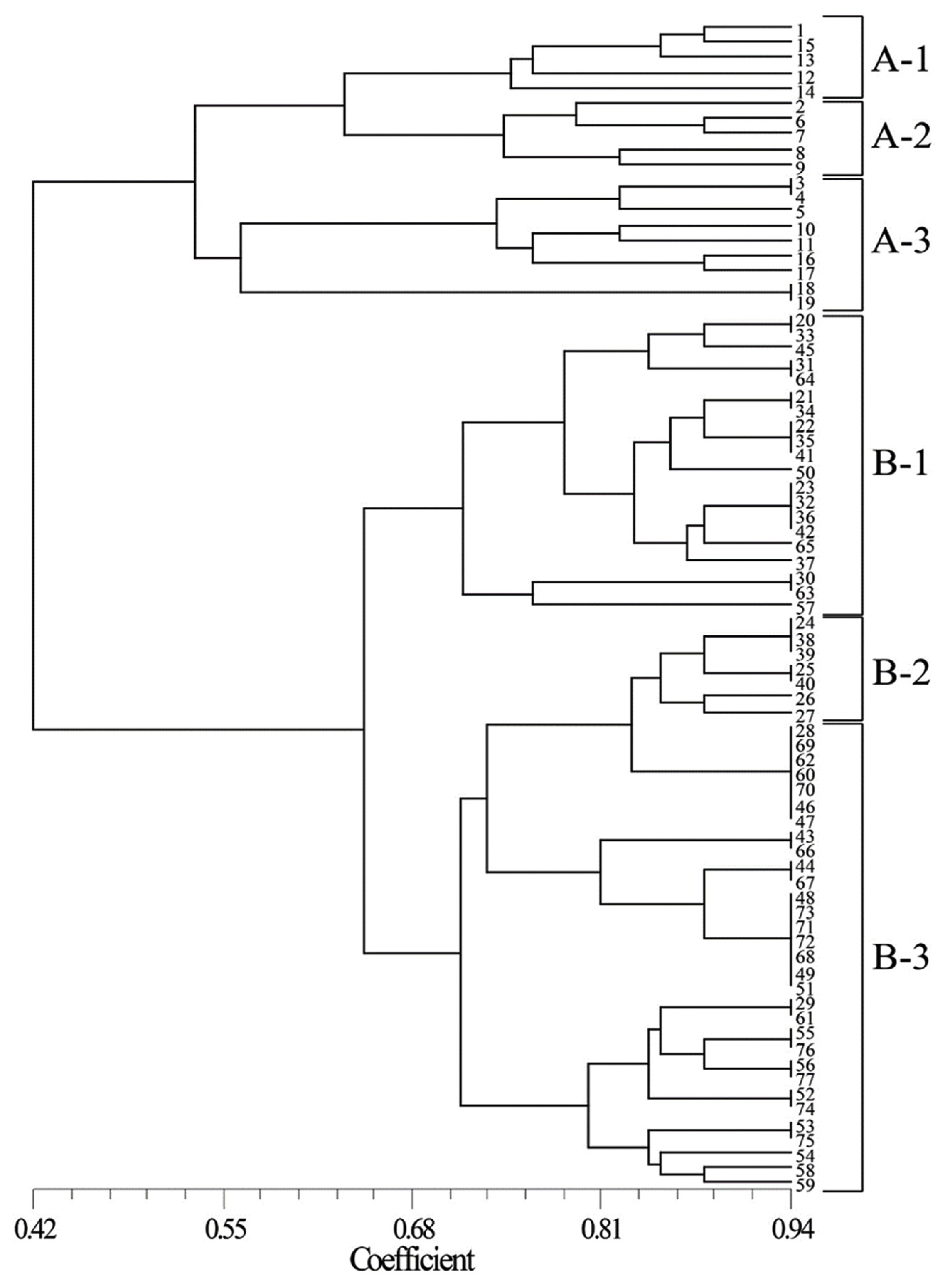 pbb-02-139f3.jpg