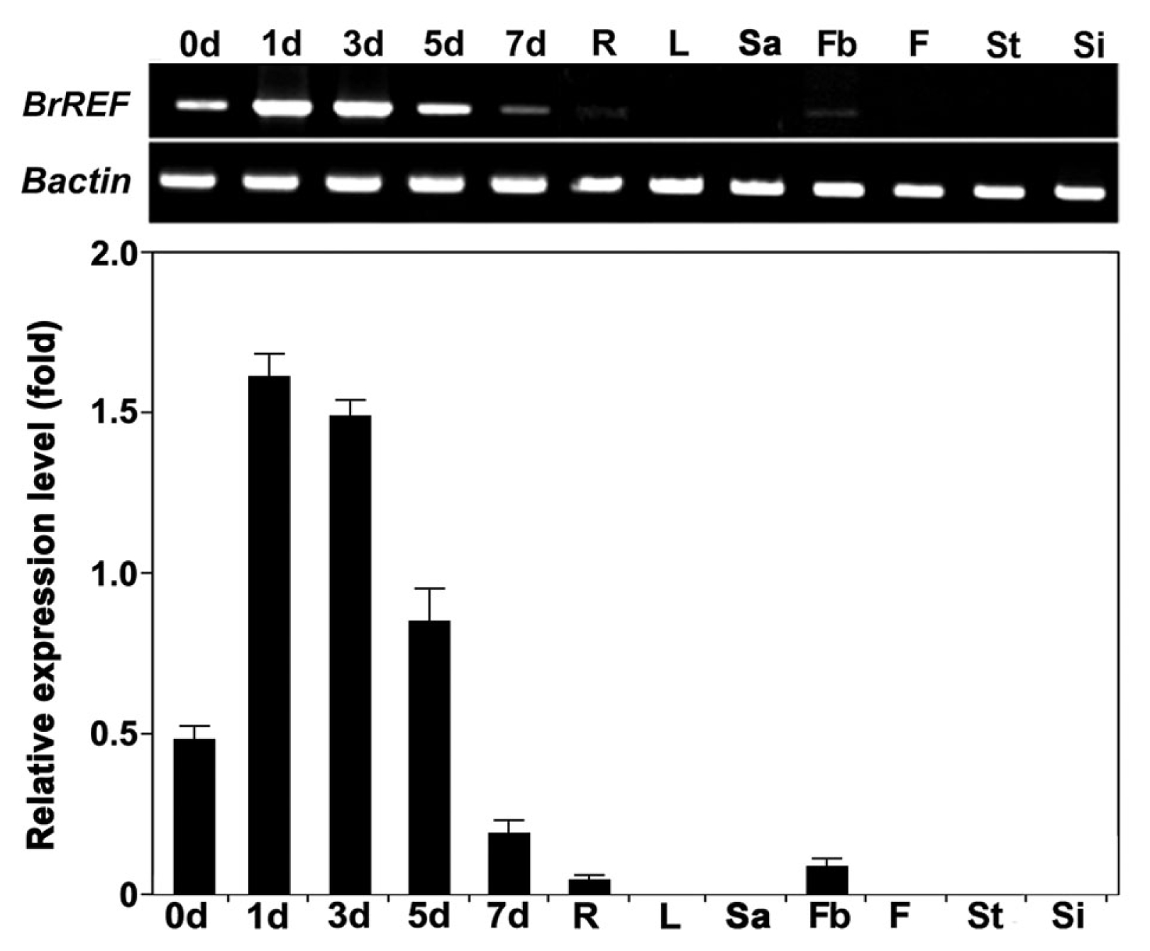 pbb-02-289f3.jpg