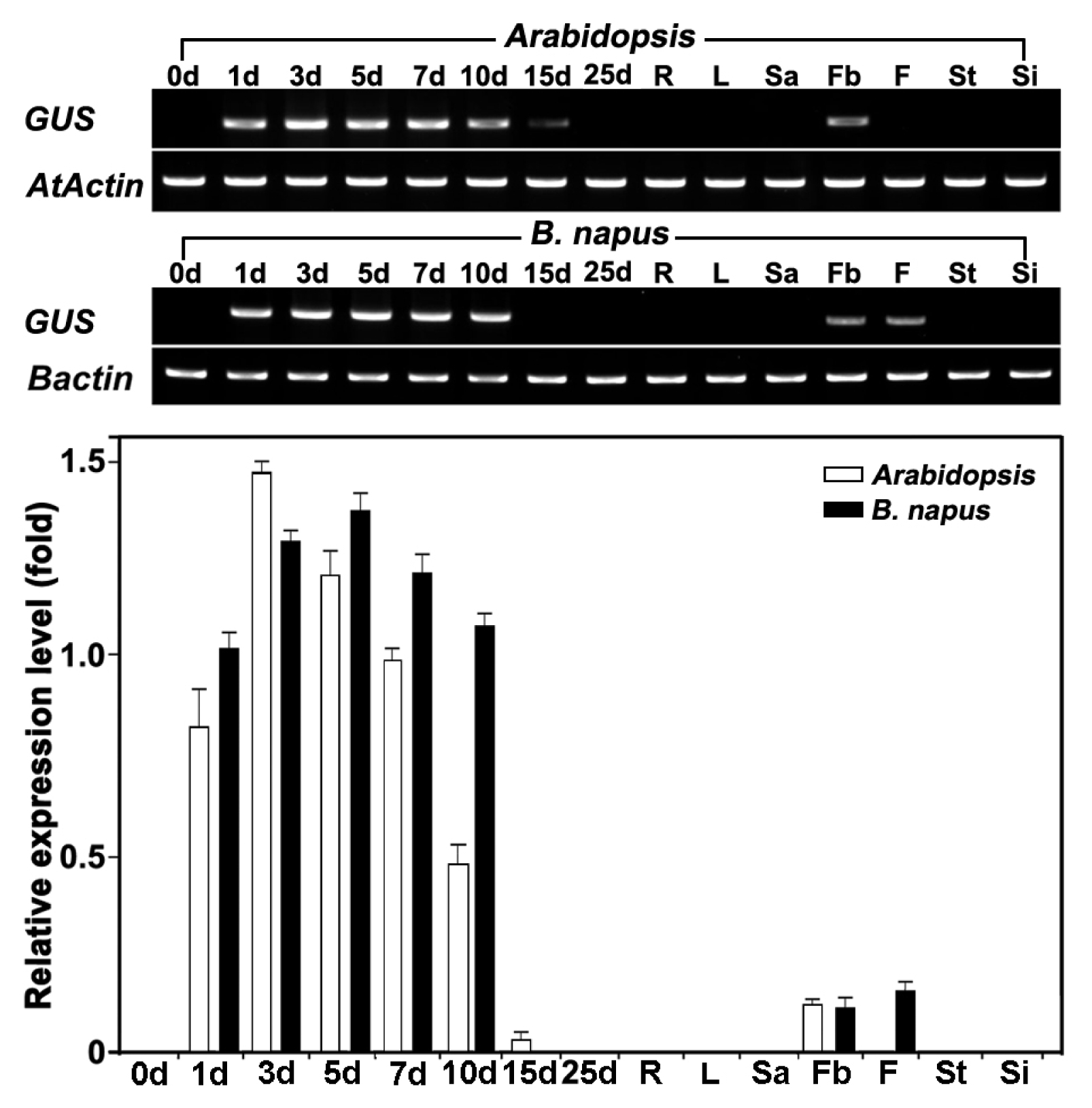 pbb-02-289f6.jpg