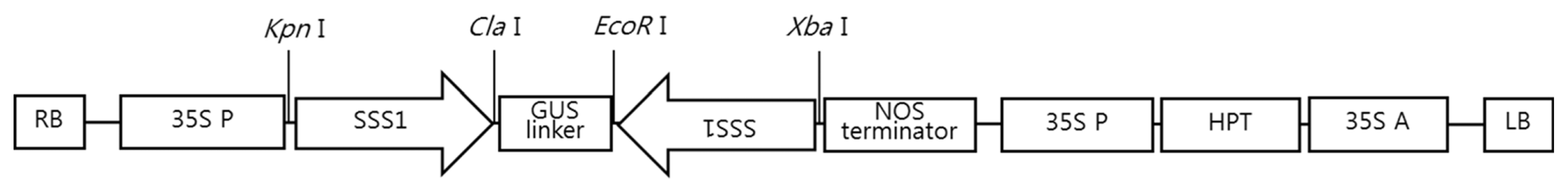 pbb-02-301f1.jpg