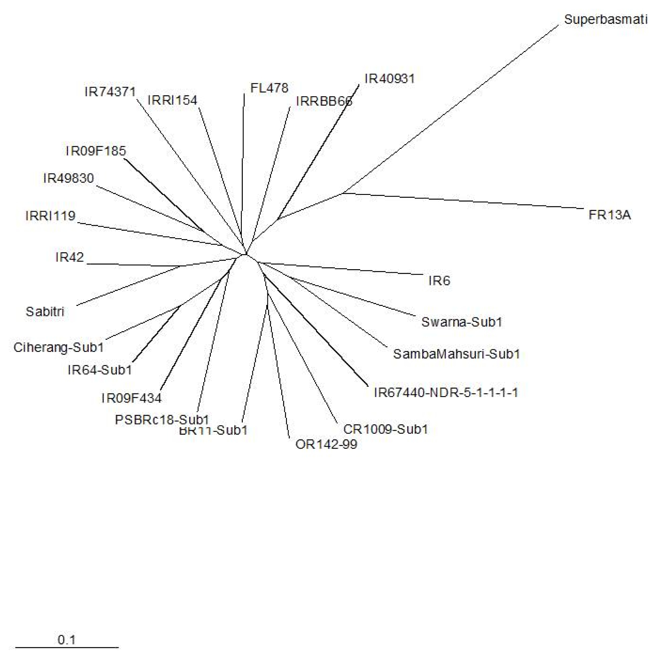 pbb-03-139f2.jpg