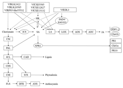 pbb-04-324f7.jpg
