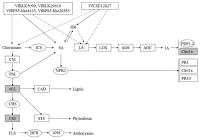 pbb-04-324f9.jpg