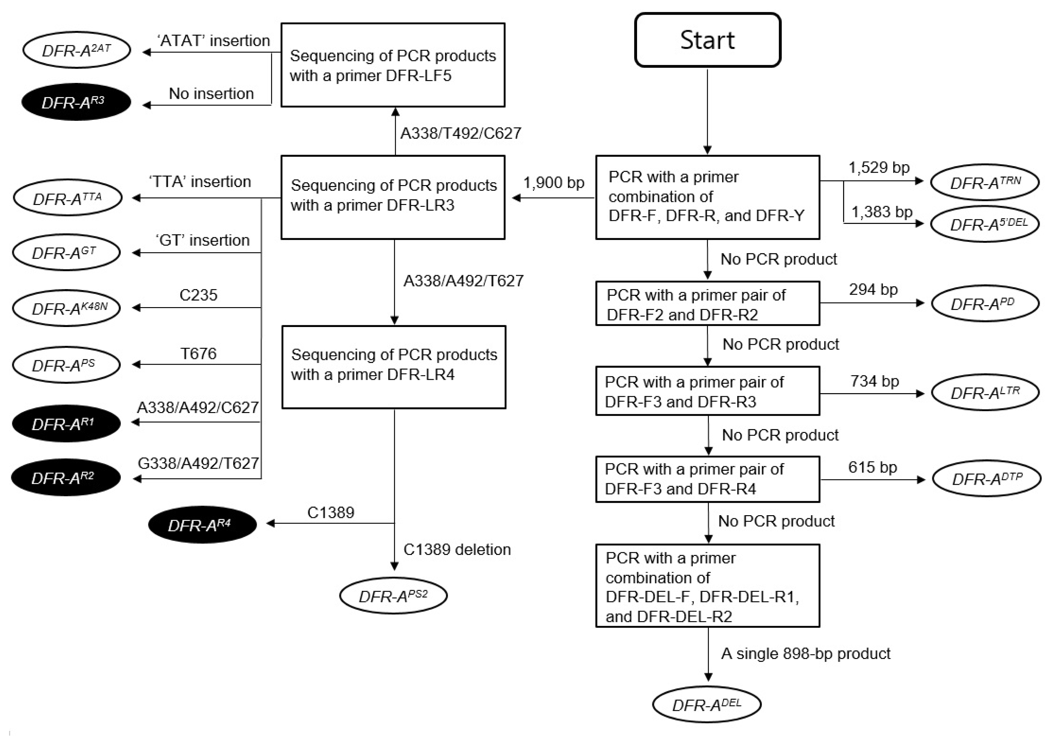 pbb-05-045f5.jpg