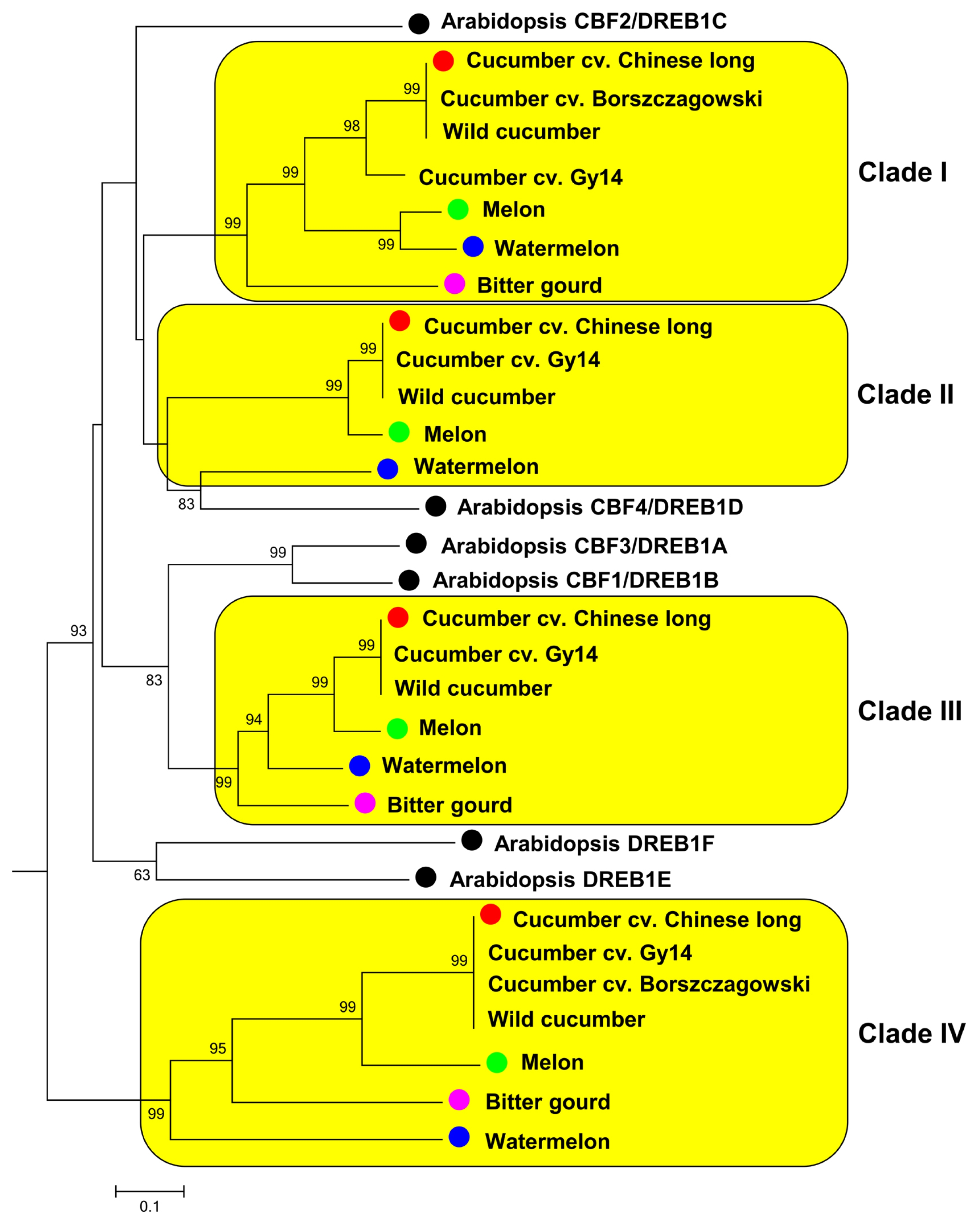 pbb-05-123f2.jpg