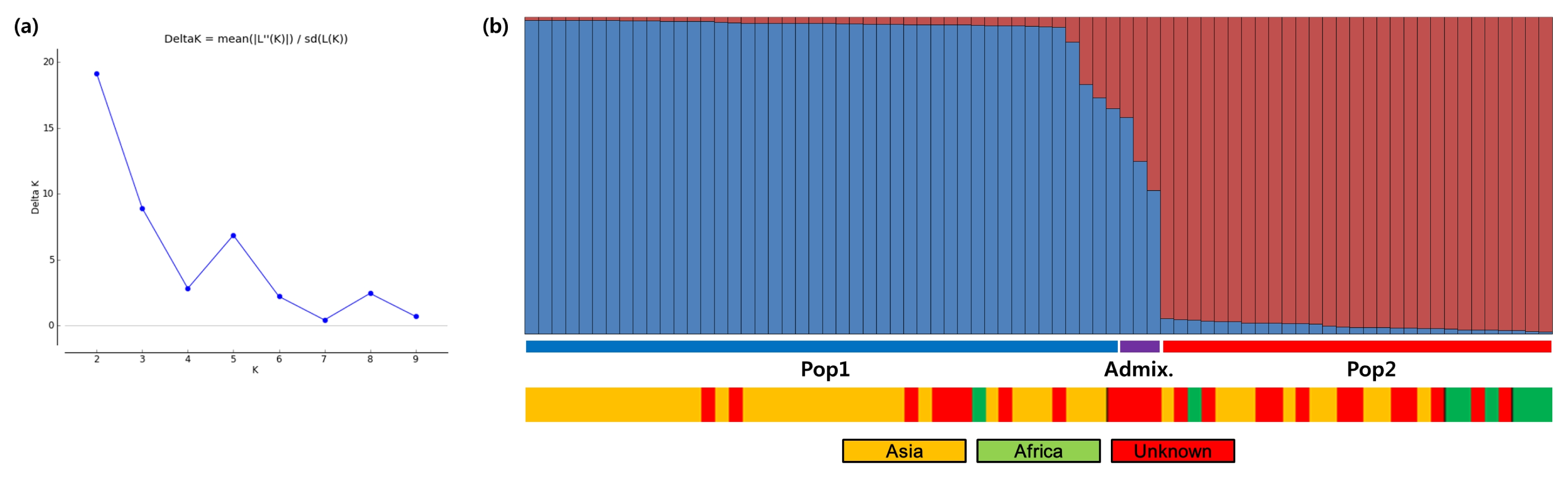 pbb-05-183f1.jpg