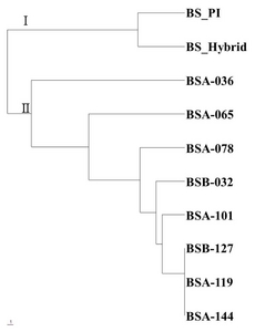 pbb-05-253f1.jpg