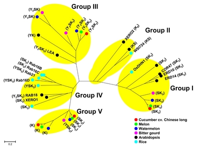 pbb-05-282f1.jpg
