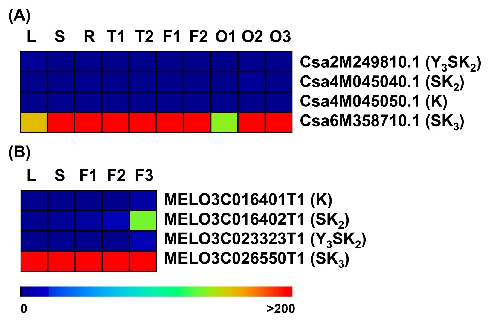 pbb-05-282f3.jpg