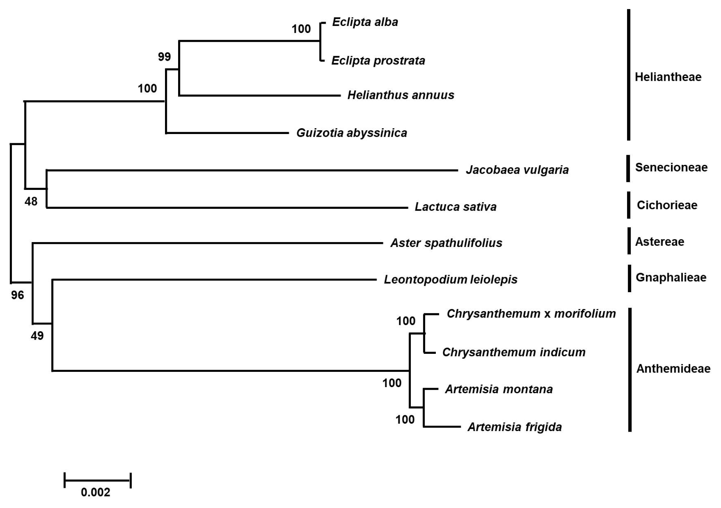 pbb-05-334f2.jpg