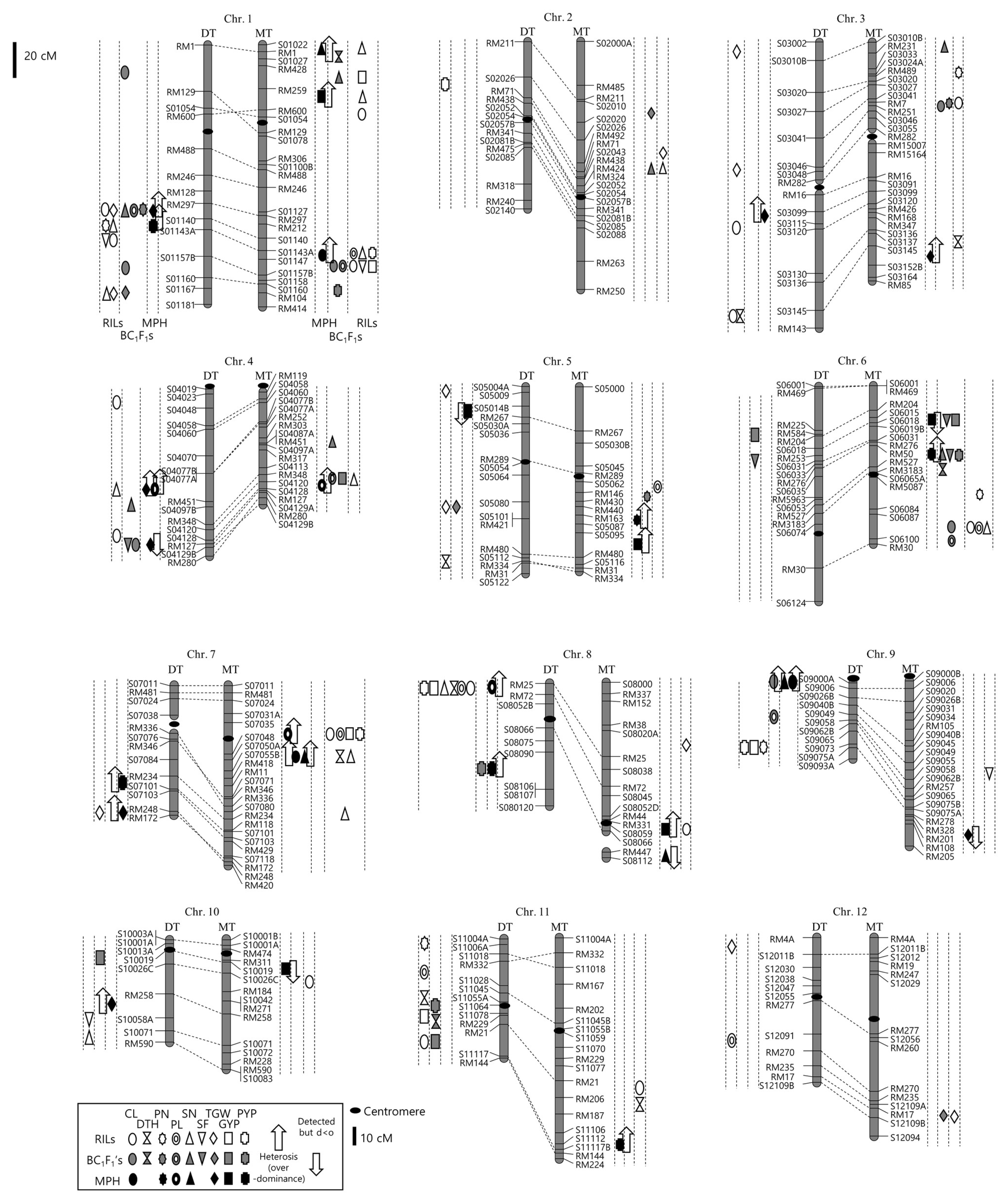 pbb-05-371f2.jpg