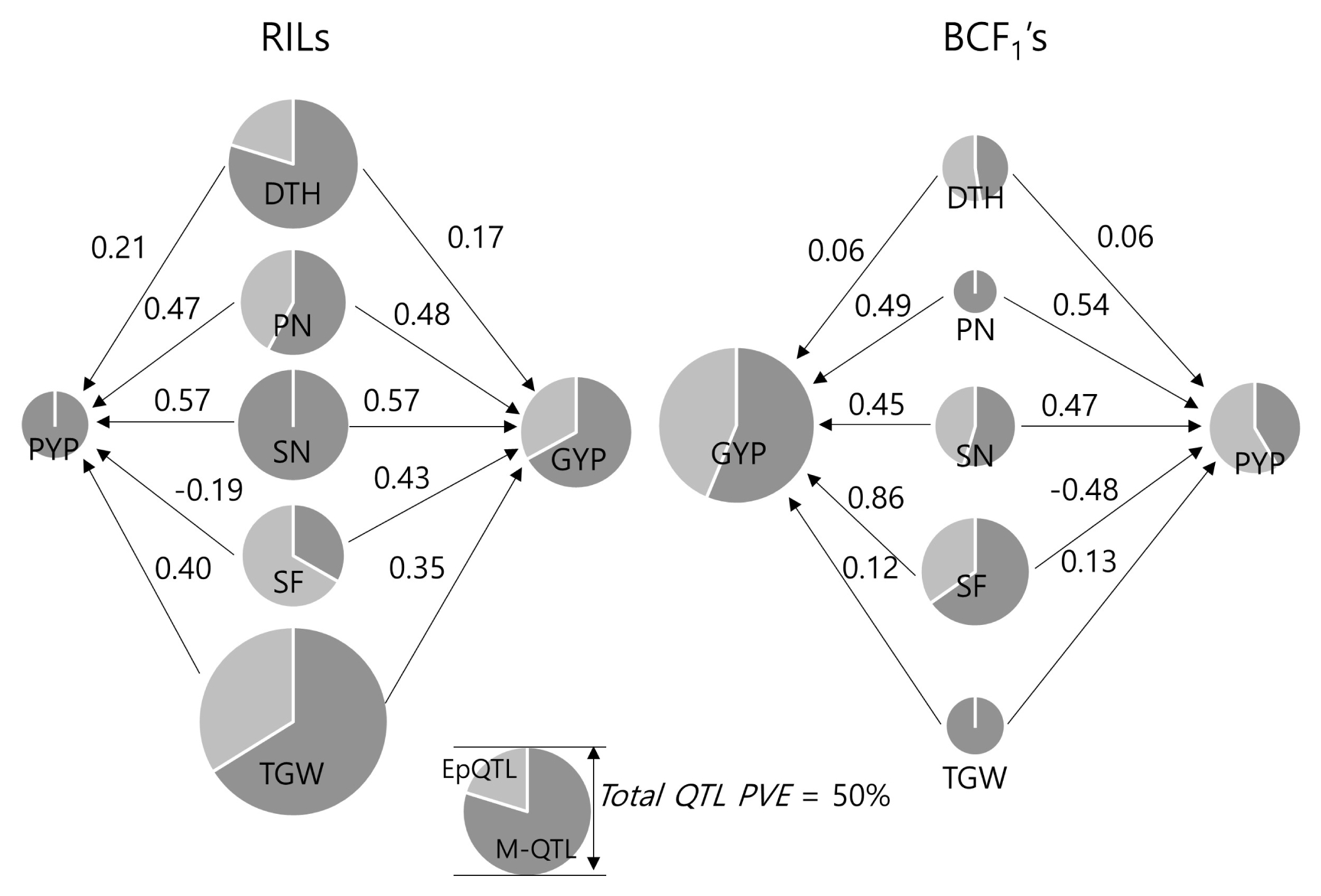 pbb-05-371f4.jpg