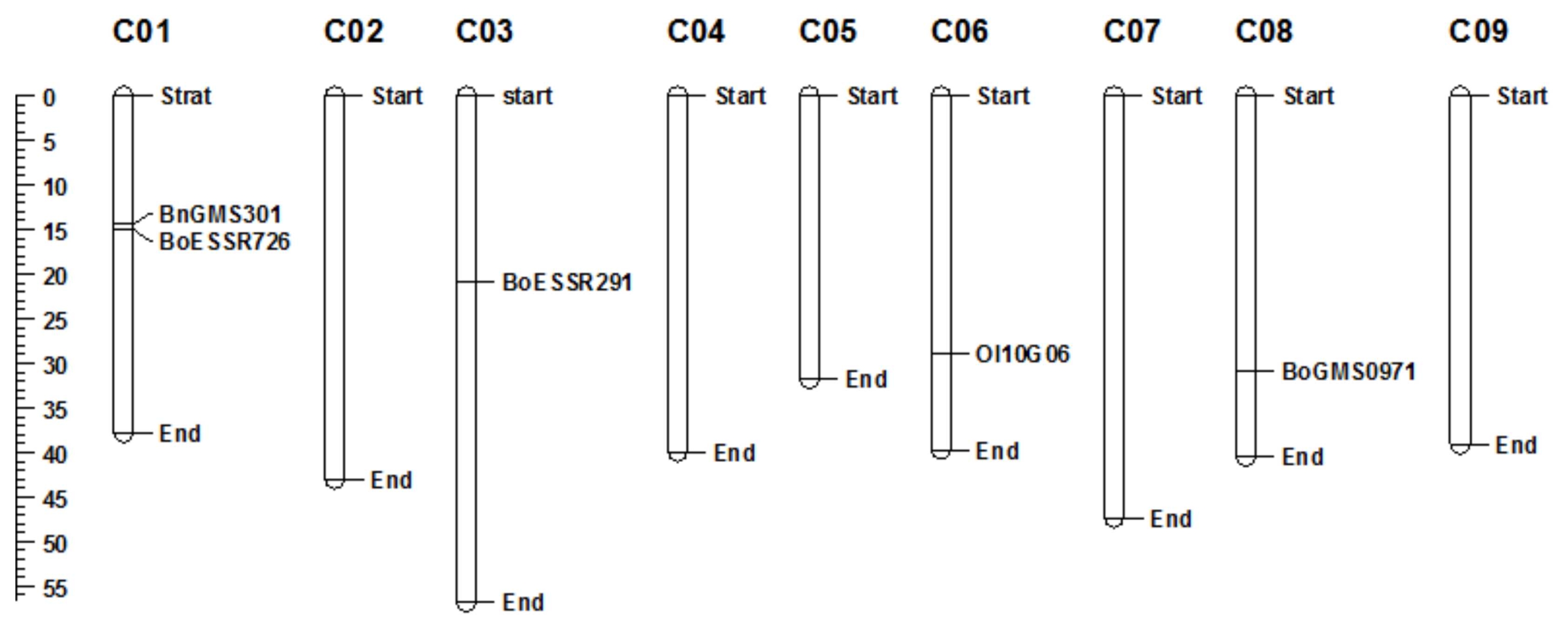 pbb-06-030f3.jpg