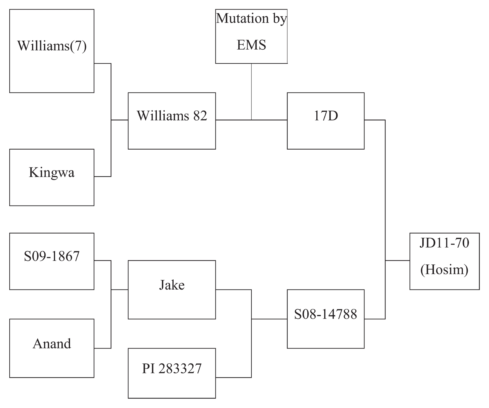 pbb-06-044f1.jpg