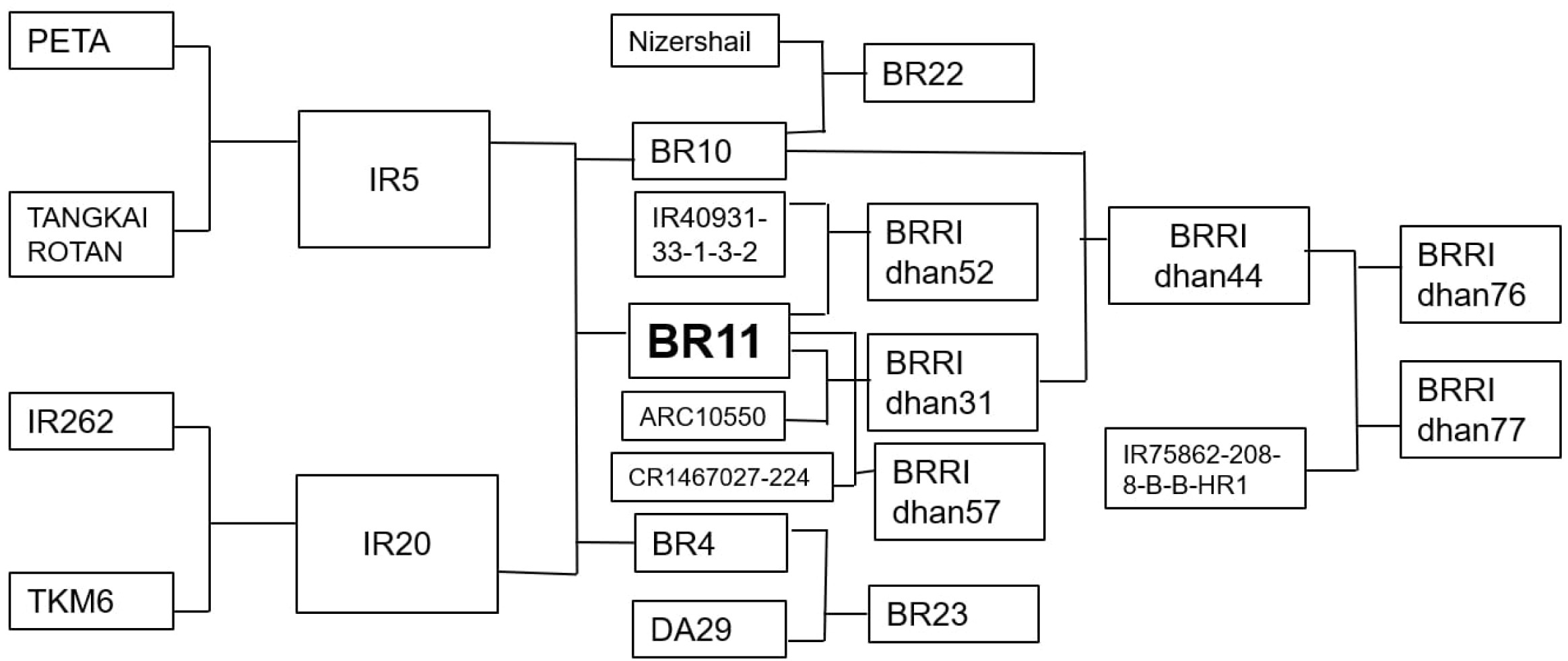 pbb-10-2-81-f1.jpg