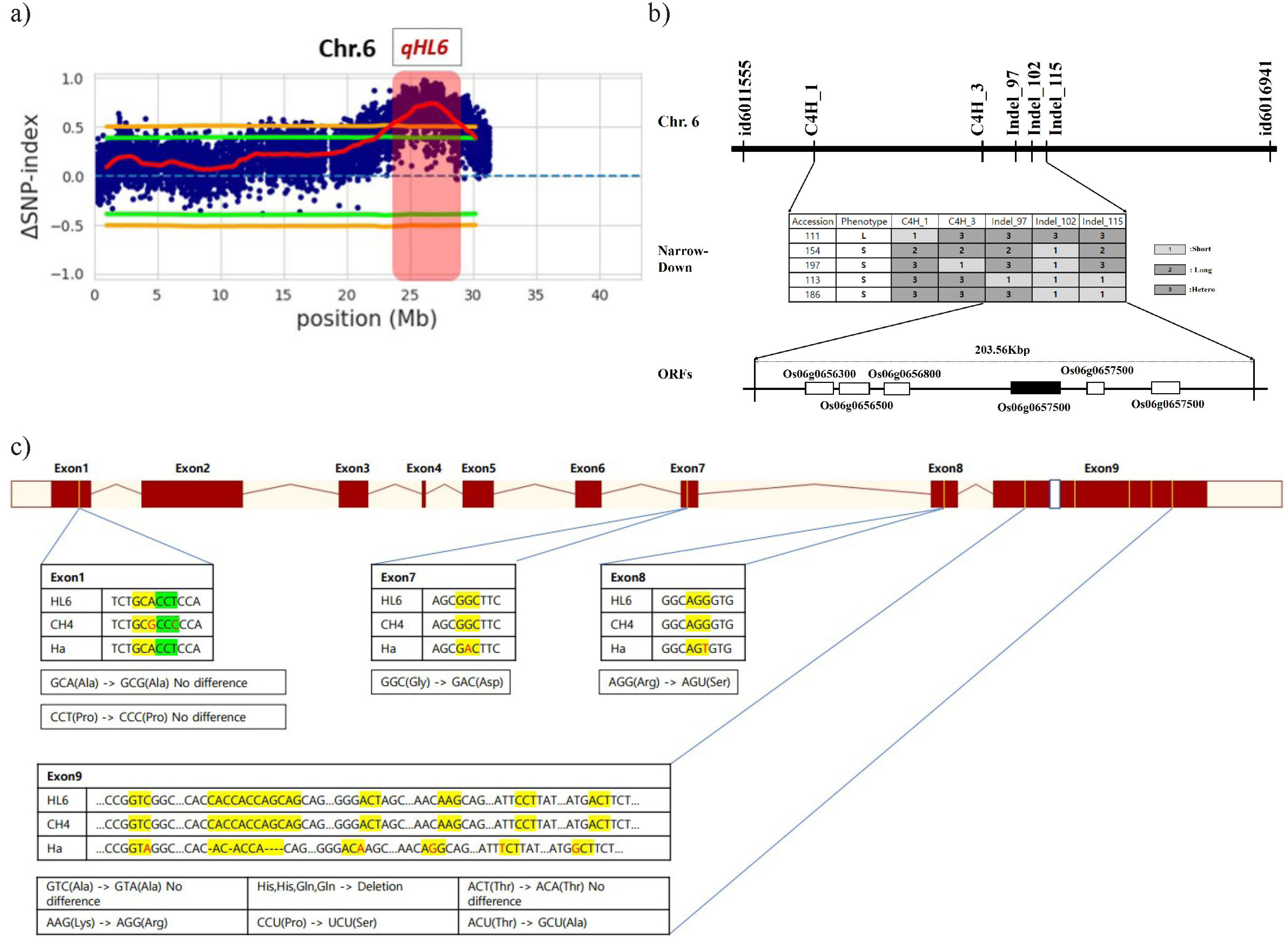 pbb-11-4-278-f2.jpg