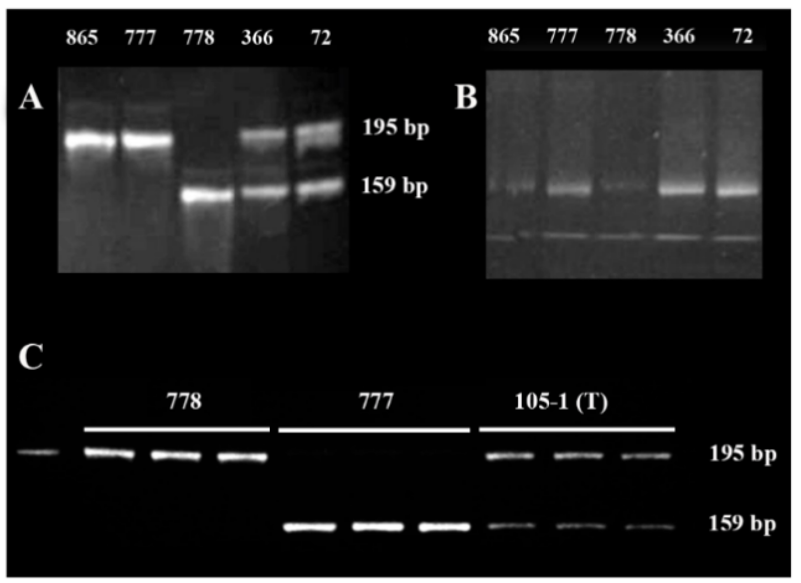 pbb-12-138-f2.jpg