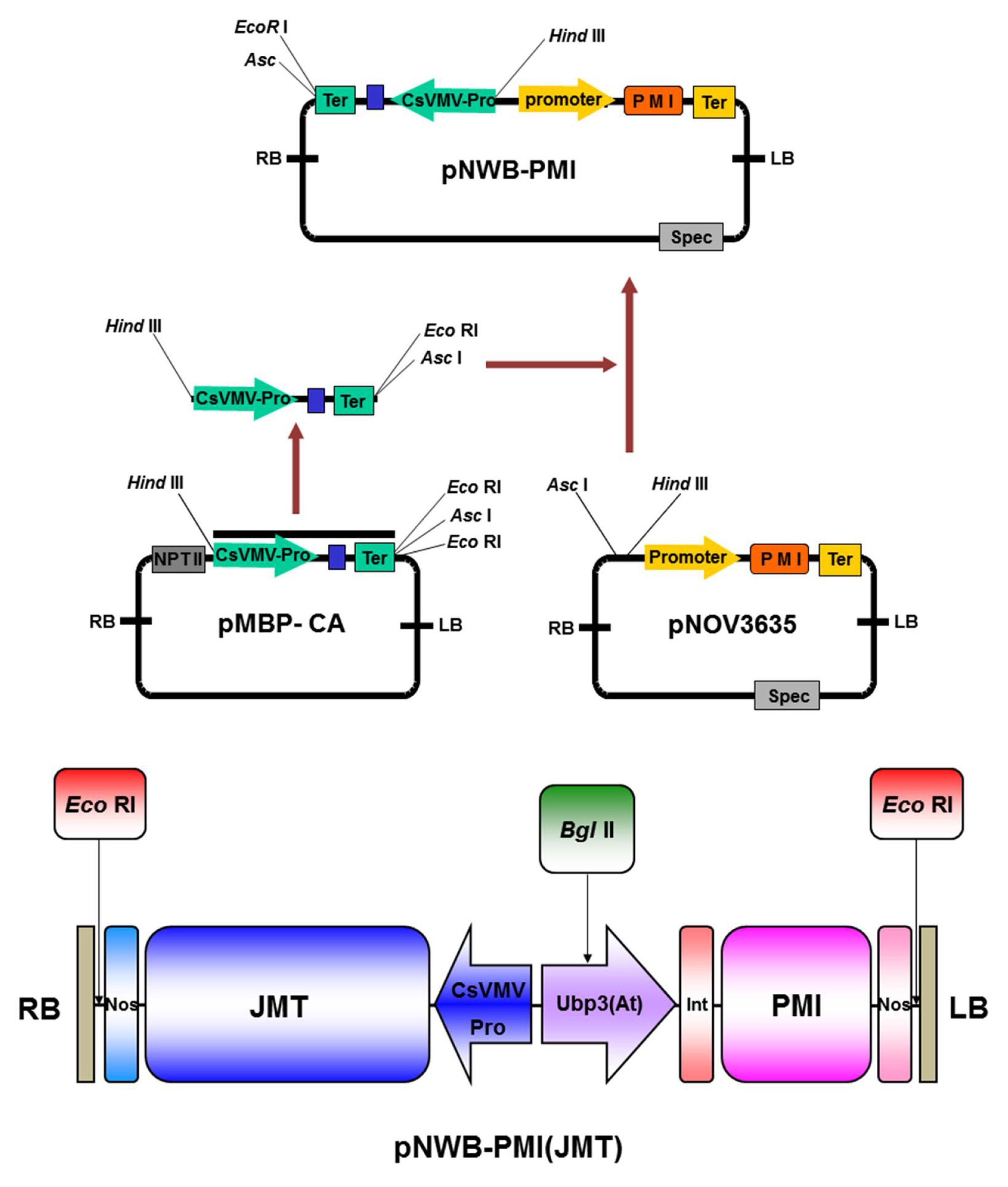 pbb-3-226f1.jpg