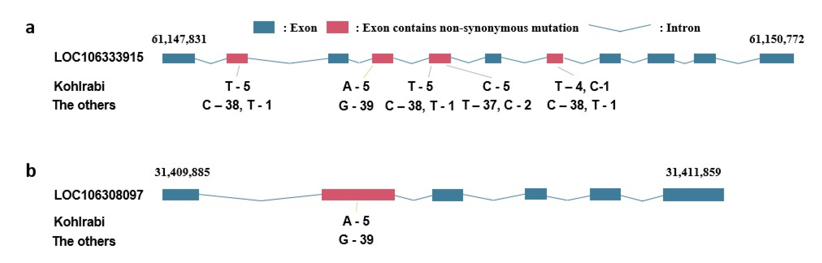 pbb-9-1-45-f3.jpg